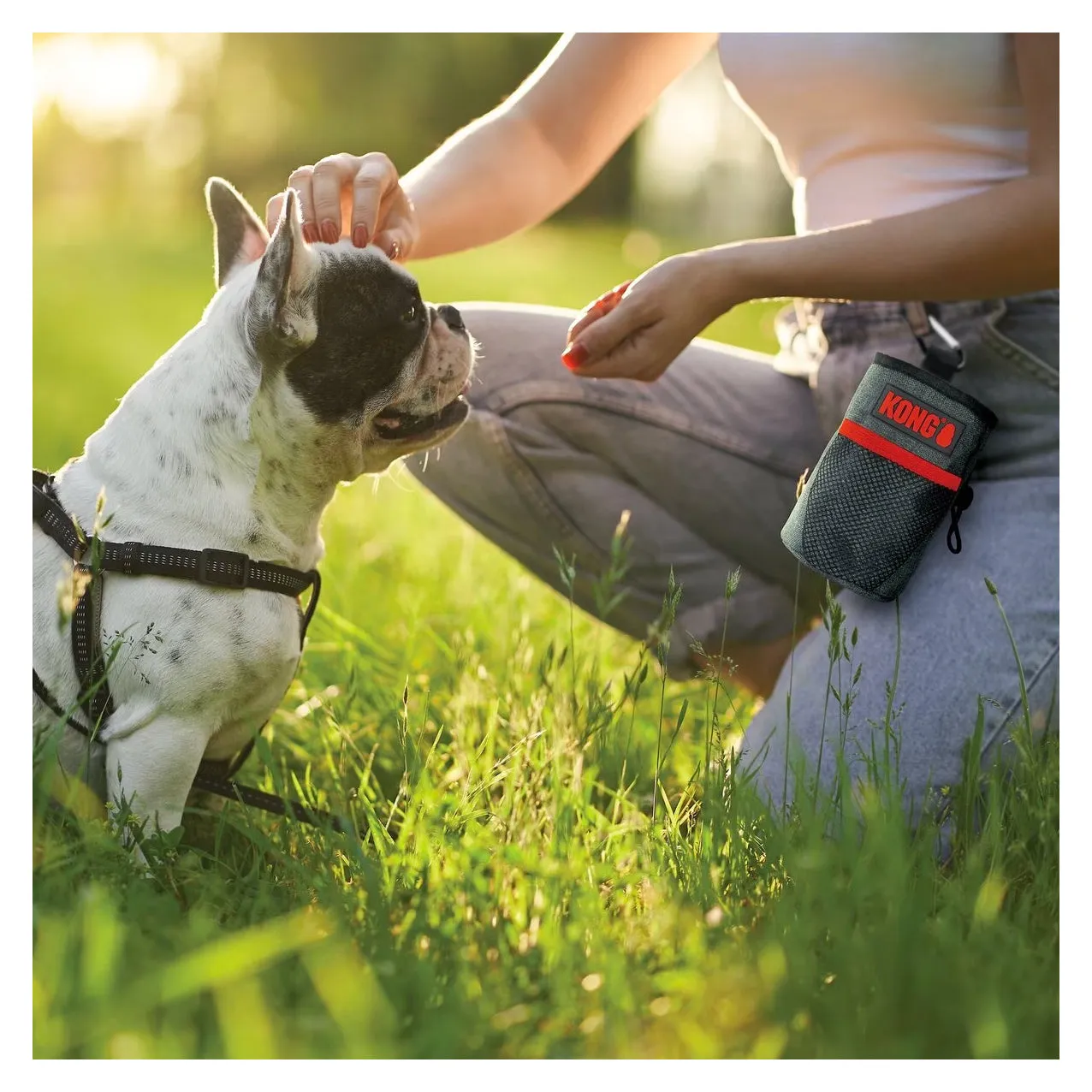 KONG Travel Treat Bag